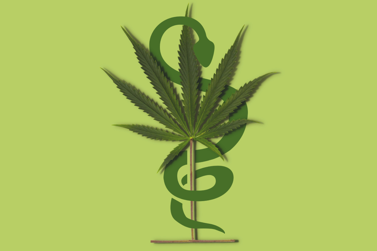 La planta del cannabis cuenta con más de 460 compuestos, de los que unos cien se clasifican como fitocannabinoides. ILUSTRACIÓN: Gabriel Sanz.